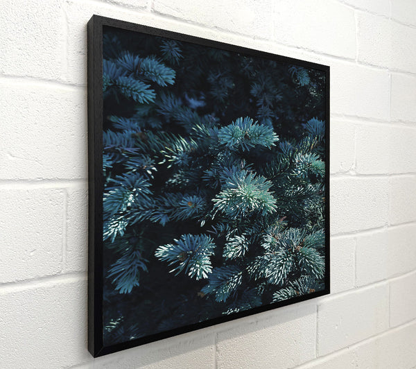 Teal Evergreen Embrace