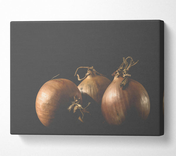  A Canvas Print of Golden Brown Trio Canvas Art