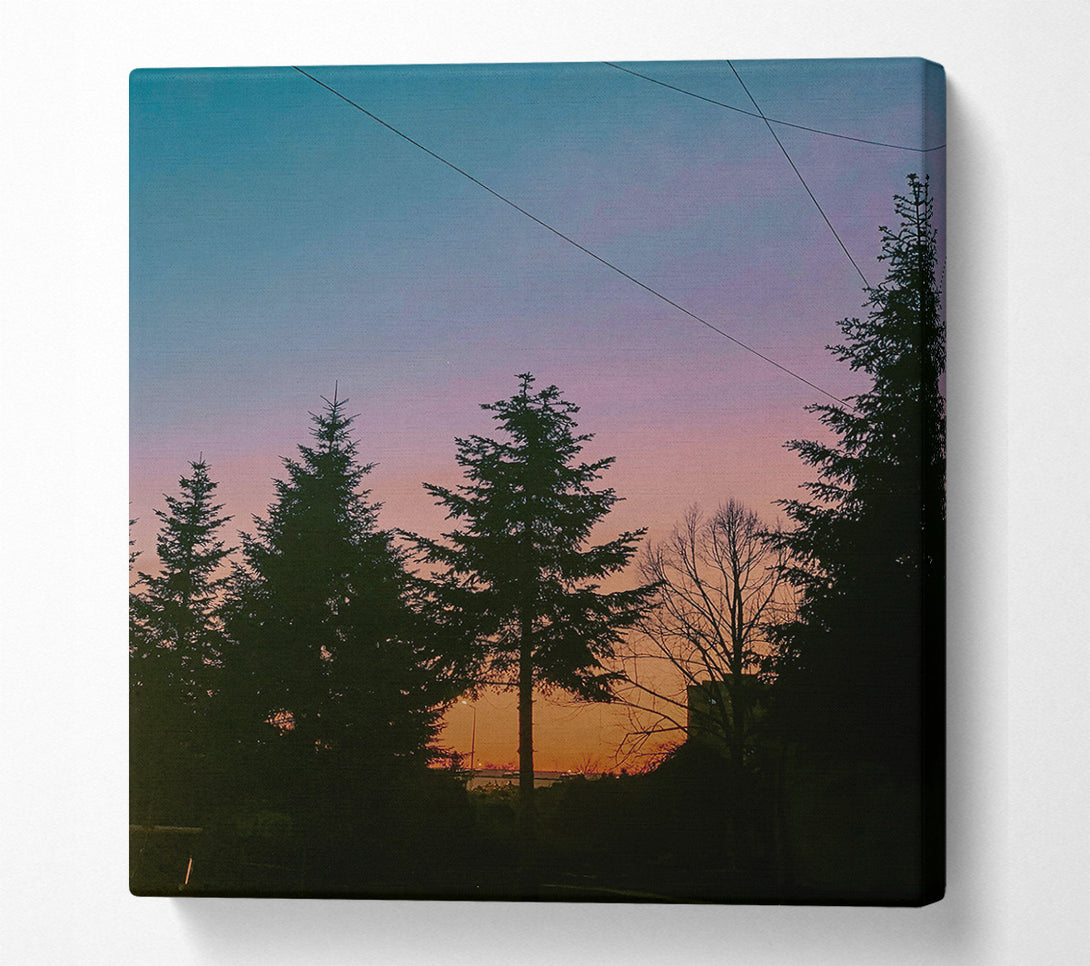  A Canvas Print of Pink Sky Silhouette Canvas Print
