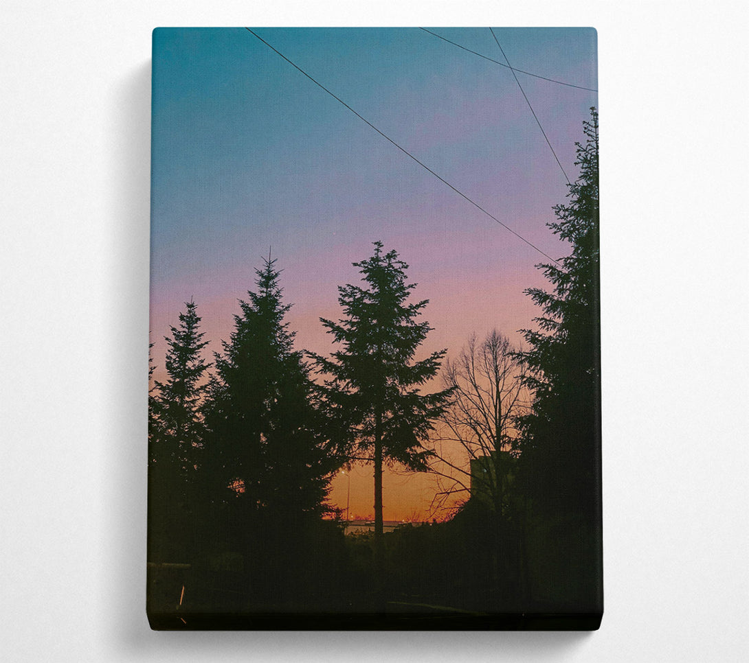  A Canvas Print of Pink Sky Silhouette Canvas Print