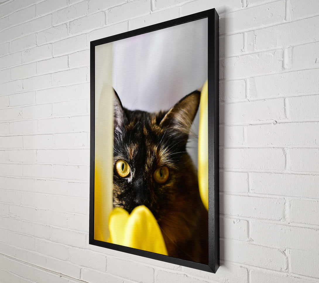  A Canvas Print of Golden Eye Gaze Canvas Print
