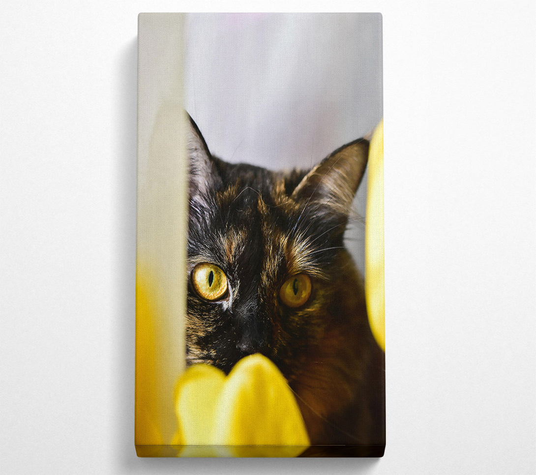  A Canvas Print of Golden Eye Gaze Canvas Print