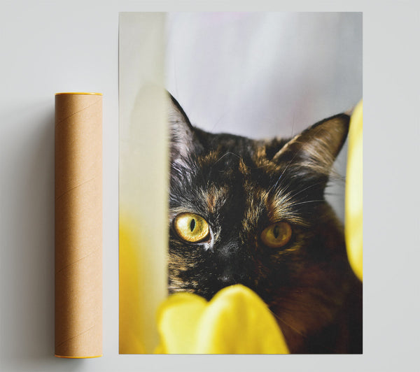Golden Eye Gaze Poster