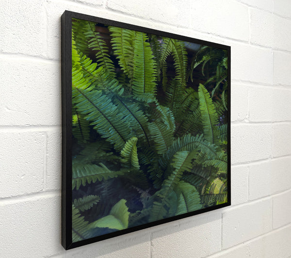 Emerald Fern Forest