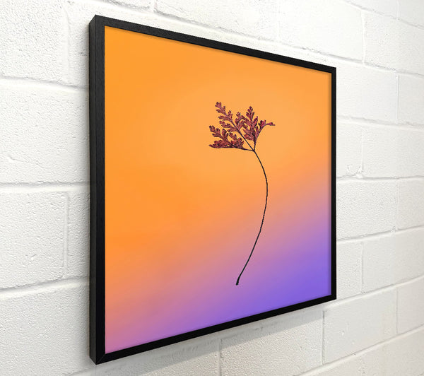 Orange Branch Silhouette