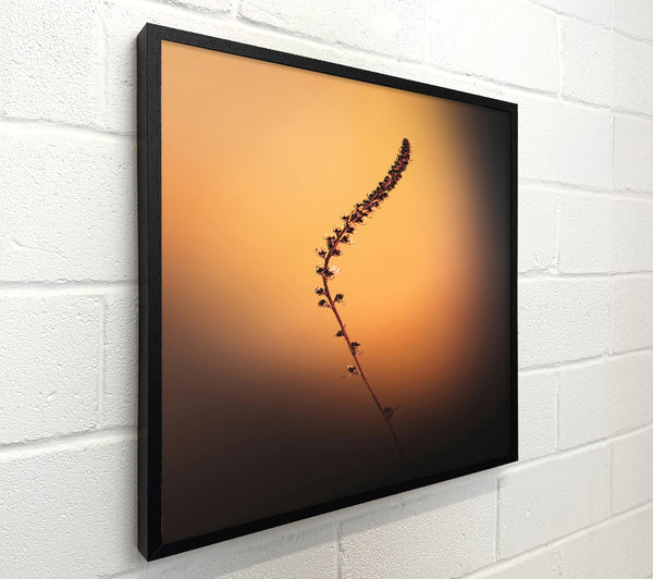 Golden Stem Silhouette