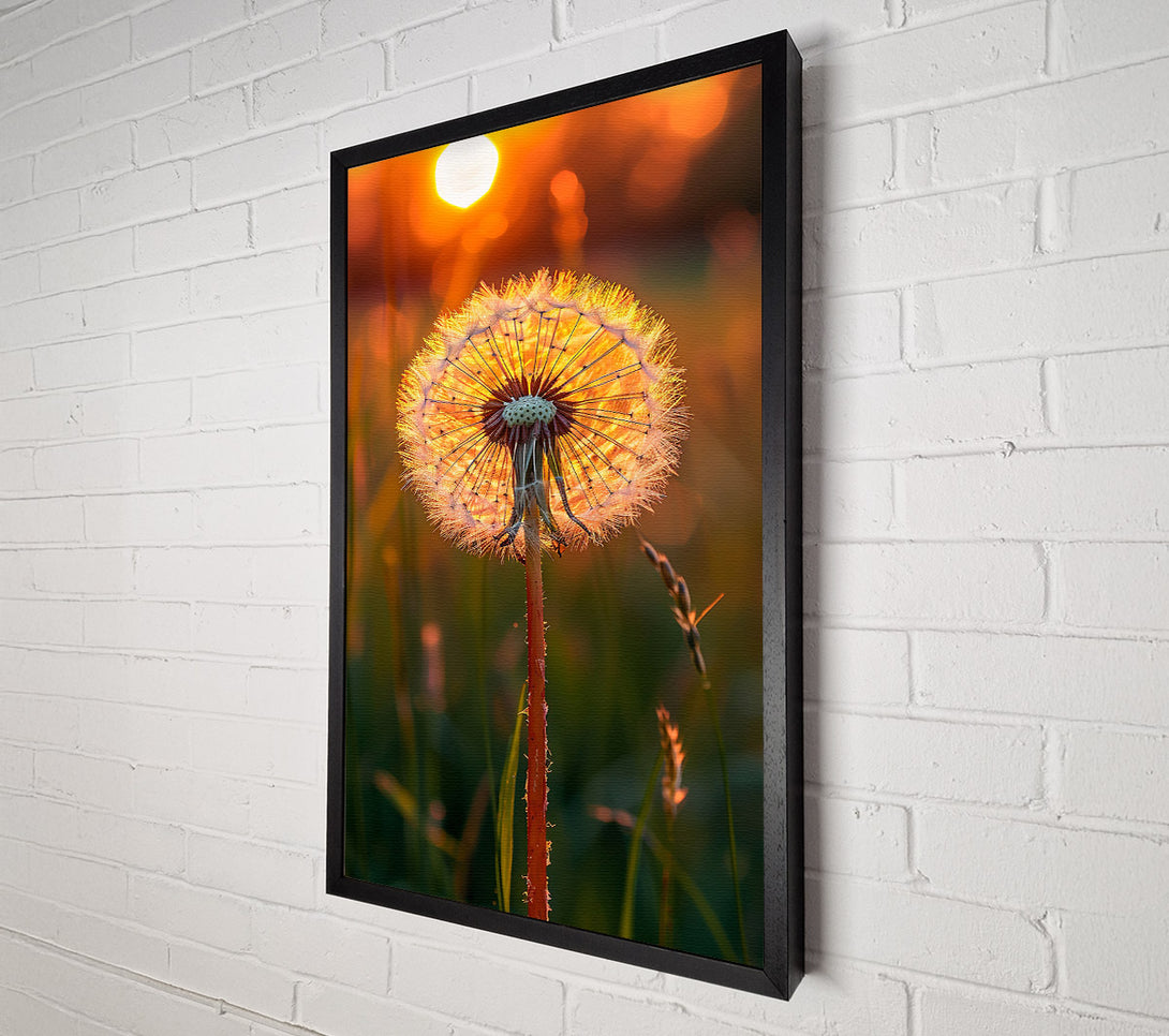  A Canvas Print of Golden Sunset Wish Canvas Art