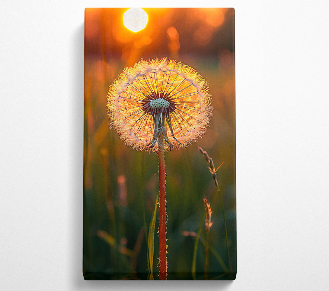  A Canvas Print of Golden Sunset Wish Canvas Art