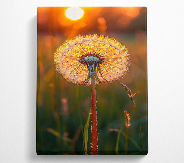  A Canvas Print of Golden Sunset Wish Canvas Art