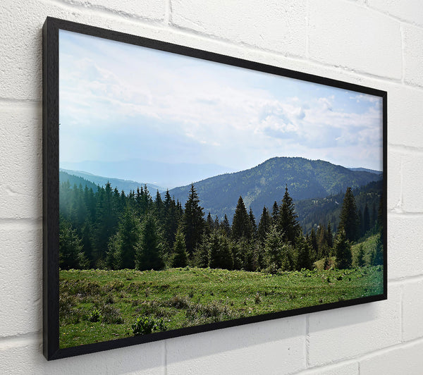 Green Mountain Vista