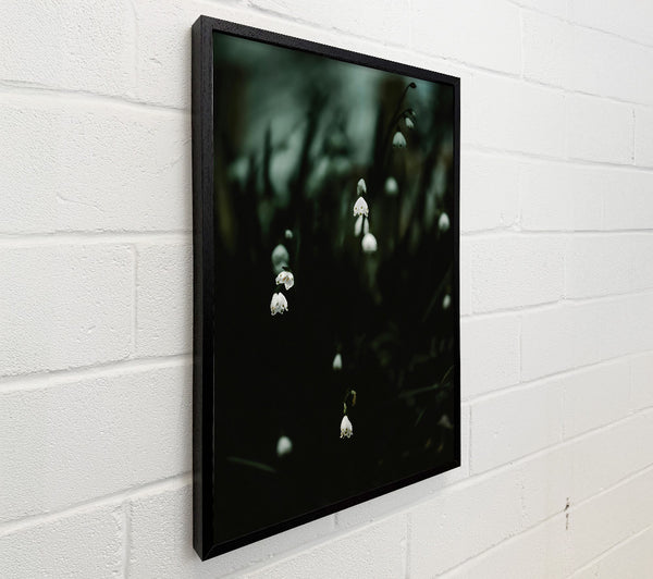 Dark Green Blooms