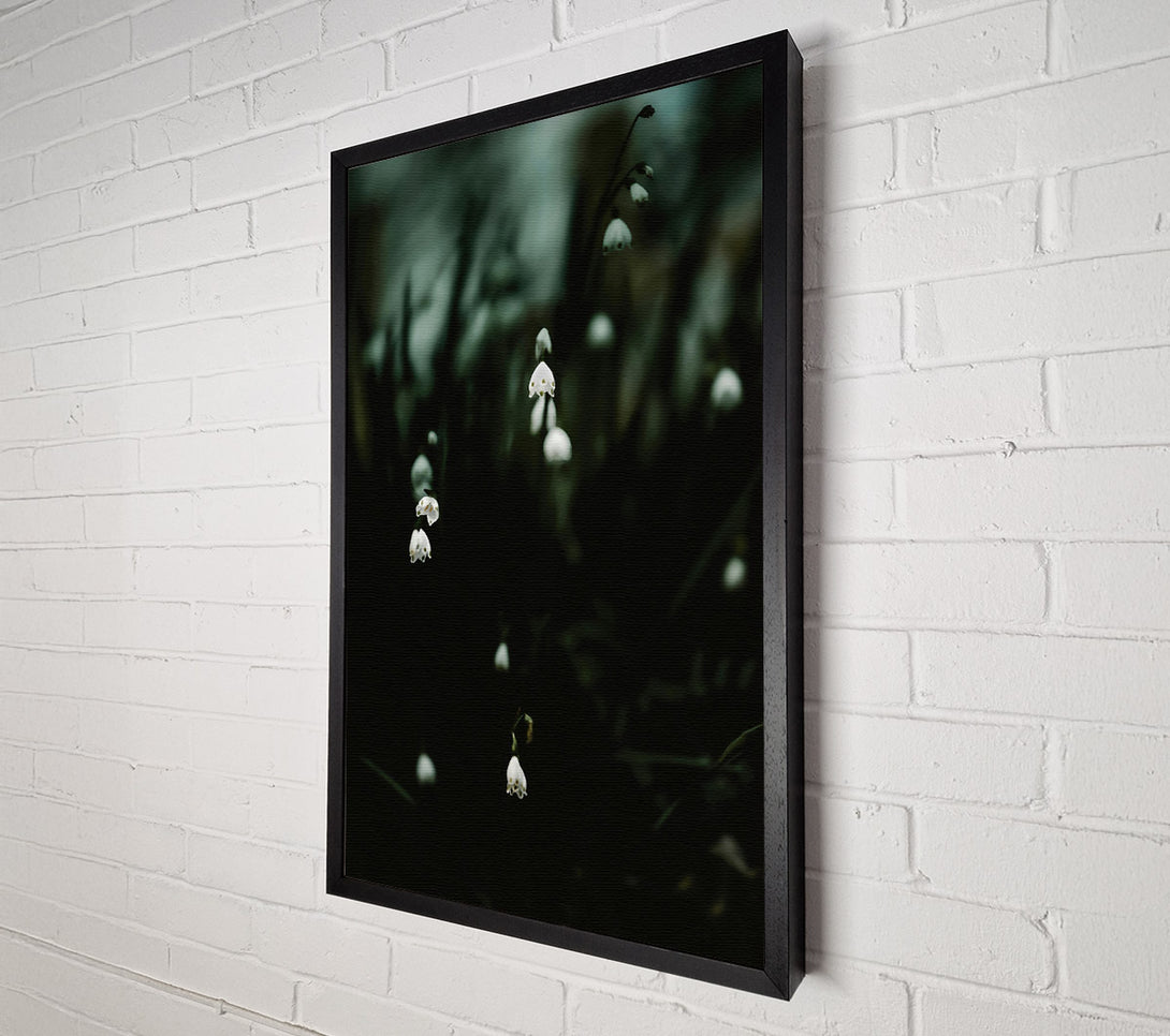  A Canvas Print of Dark Green Blooms Canvas Print