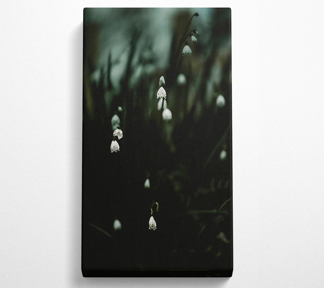  A Canvas Print of Dark Green Blooms Canvas Print