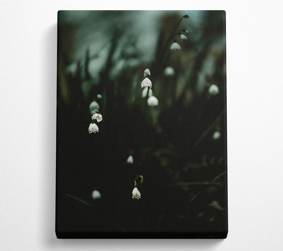  A Canvas Print of Dark Green Blooms Canvas Print