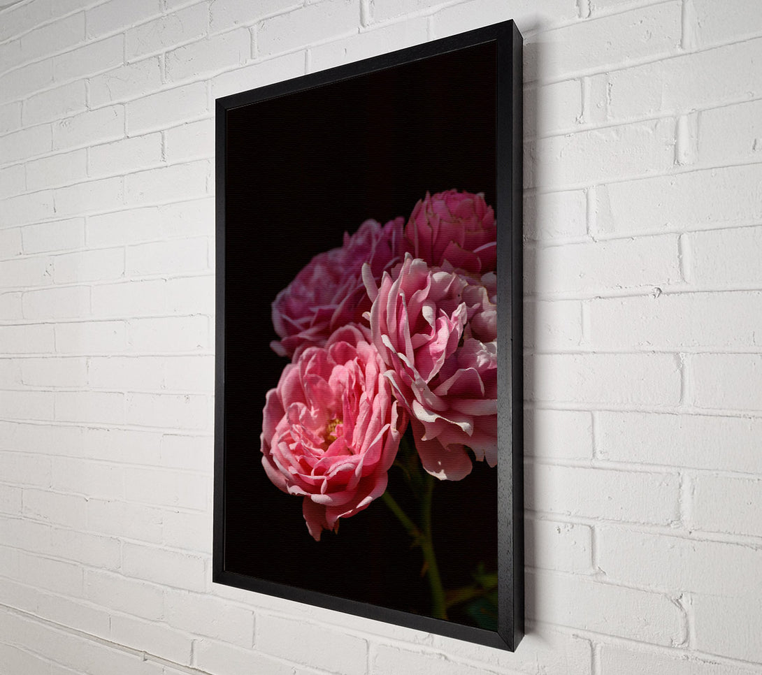  A Canvas Print of Soft Pink Blooms Canvas Wall Art