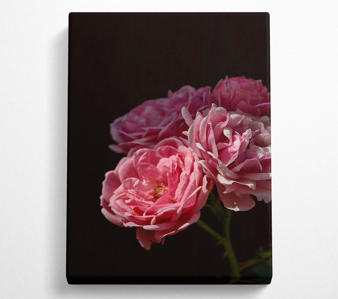  A Canvas Print of Soft Pink Blooms Canvas Wall Art