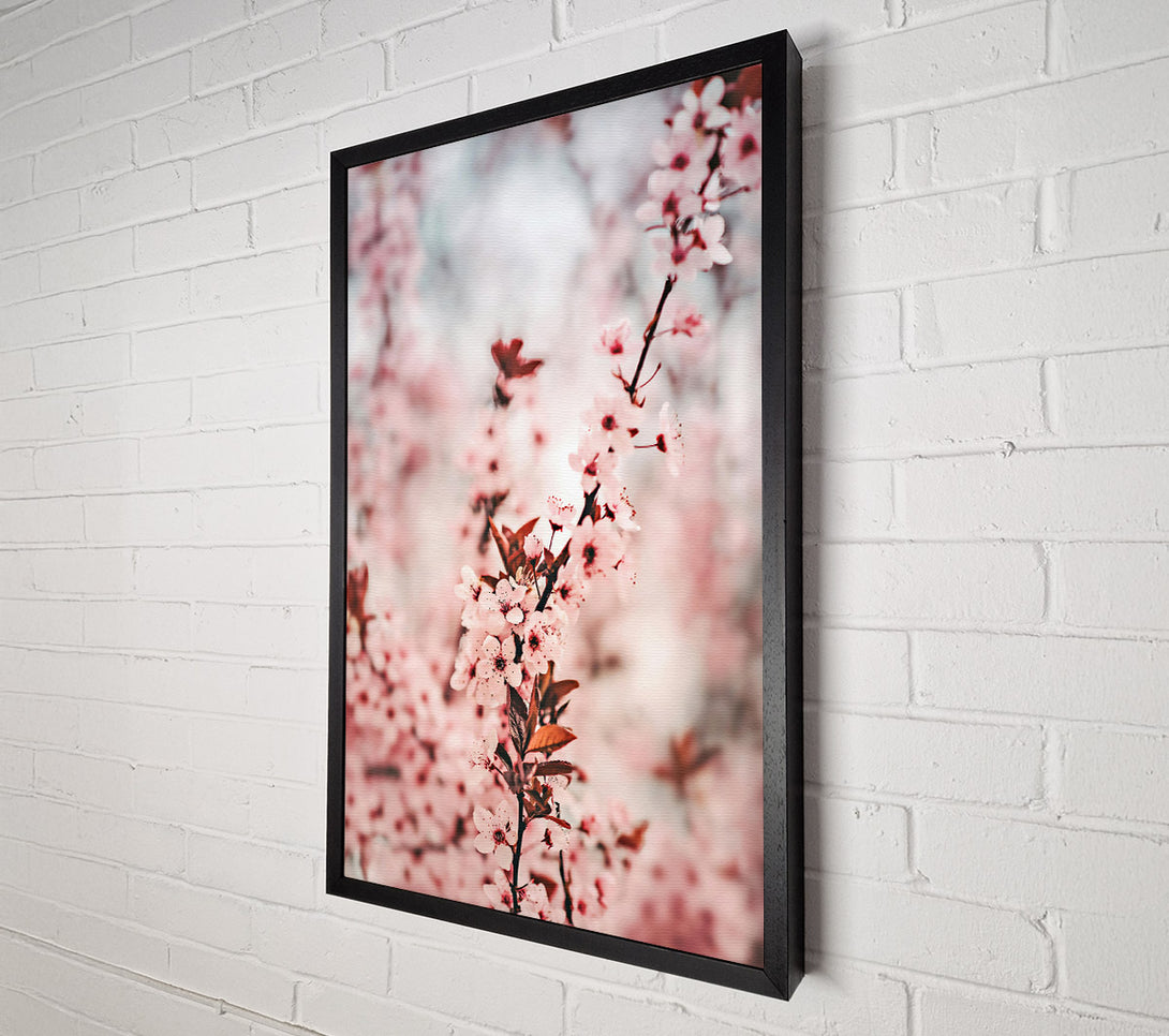  A Canvas Print of Pink Blossom Branch Canvas Print