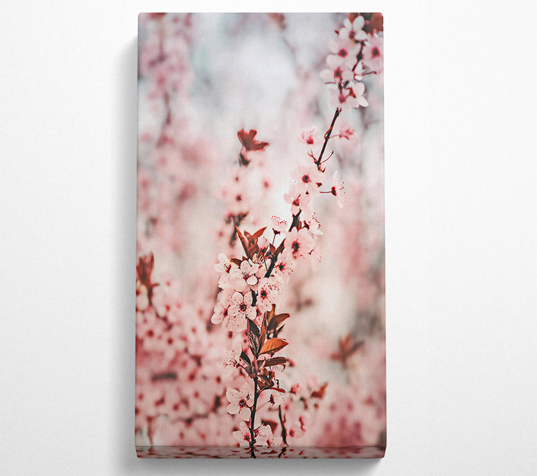  A Canvas Print of Pink Blossom Branch Canvas Print
