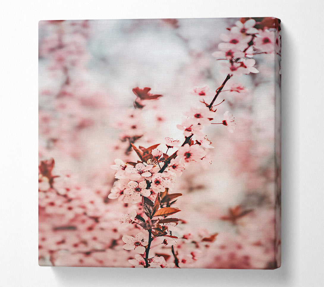  A Canvas Print of Pink Blossom Branch Canvas Print