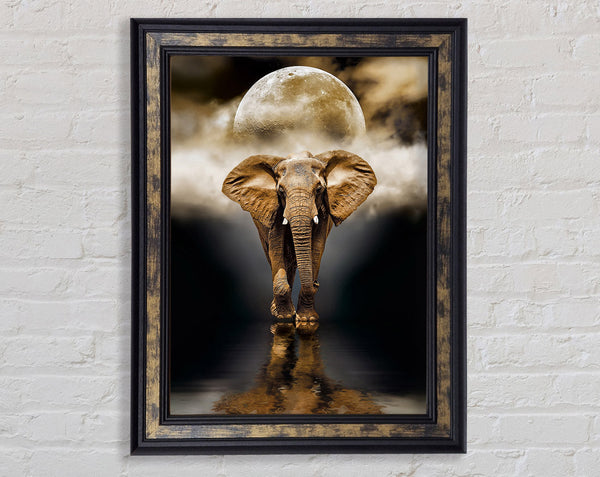 Elephant Moon Framed Print