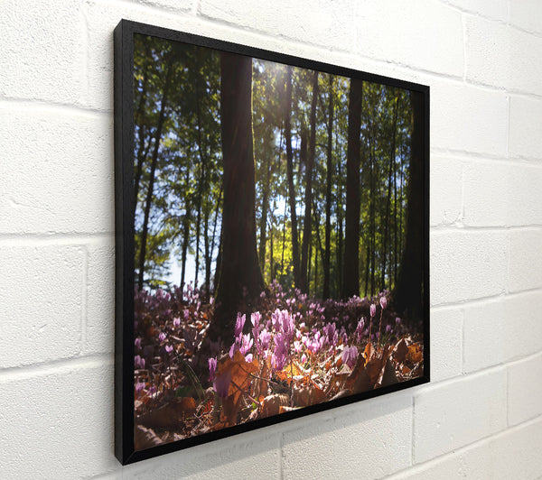 Purple Forest Floor