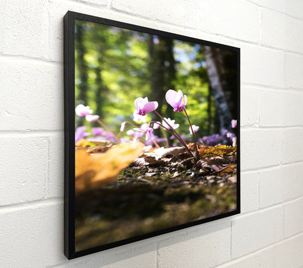 Pink Forest Flowers