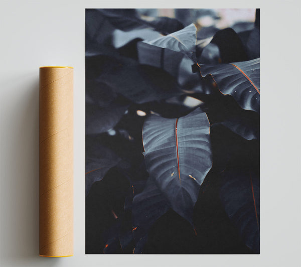 Deep Blue Veins Print