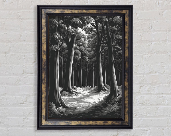 Empty Forest Framed Print