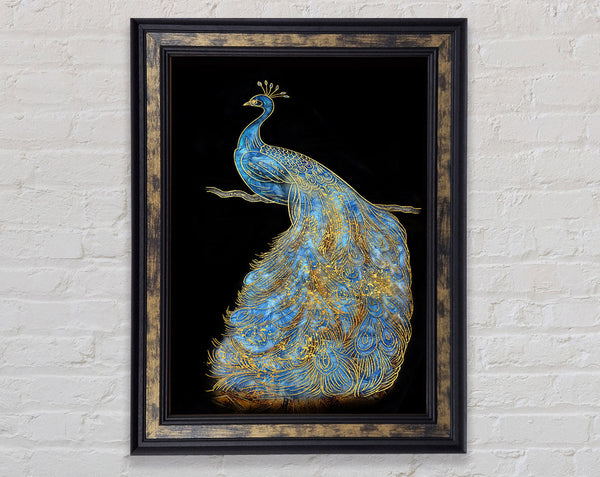 Engraved Peacock Framed Print