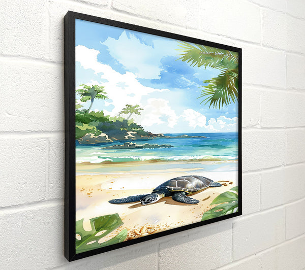 Blue Turtle Shore