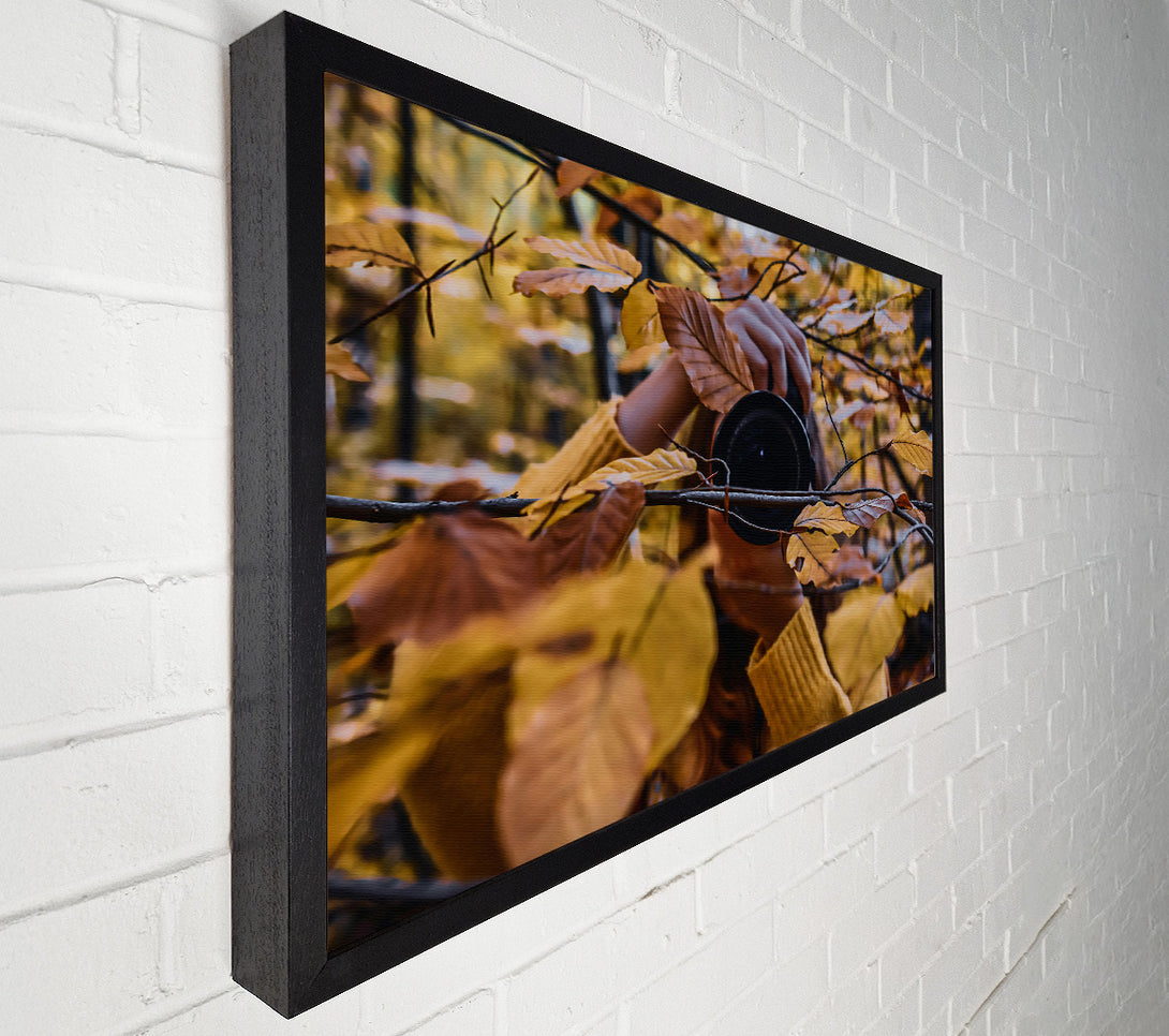  A Canvas Print of Golden Autumn Lens Canvas Art
