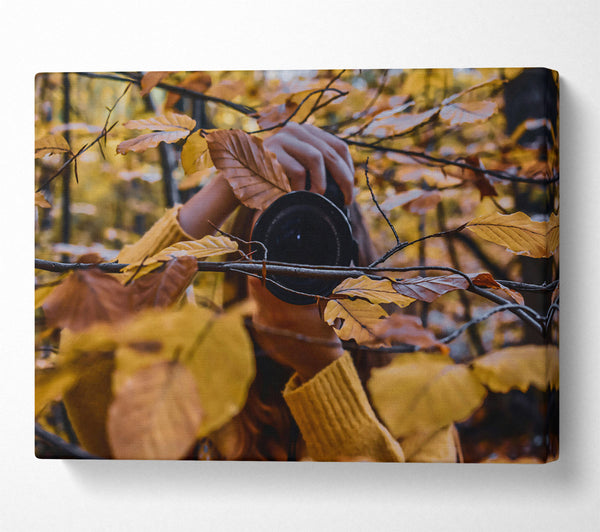  A Canvas Print of Golden Autumn Lens Canvas Art
