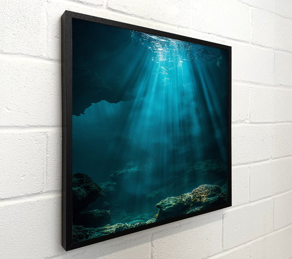 Teal Underwater Rays
