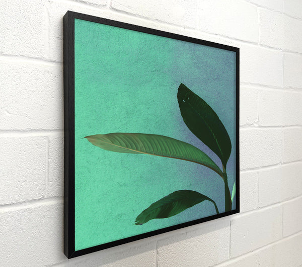 Teal Leaf Shadows