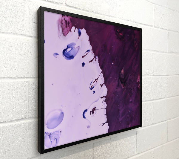 Purple And White Swirl
