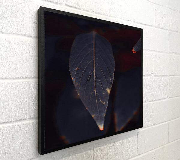 Indigo Leaf Silhouette