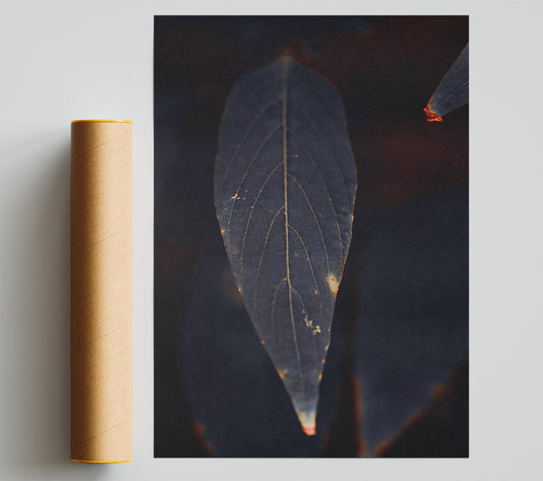 Indigo Leaf Silhouette Poster