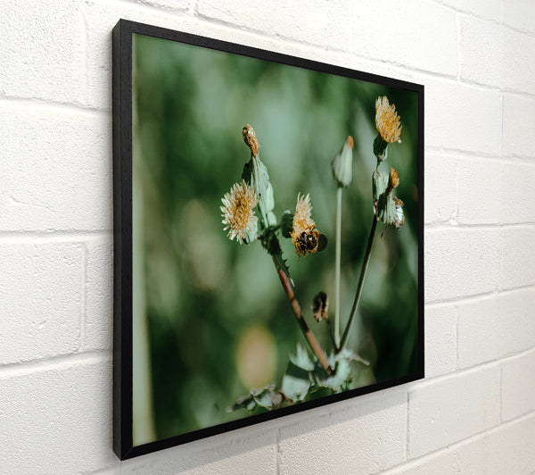 Green Bloom Buzzing