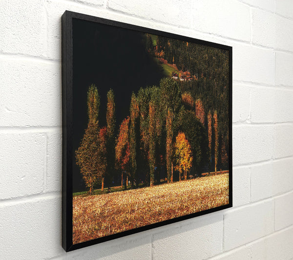 Golden Autumn Field