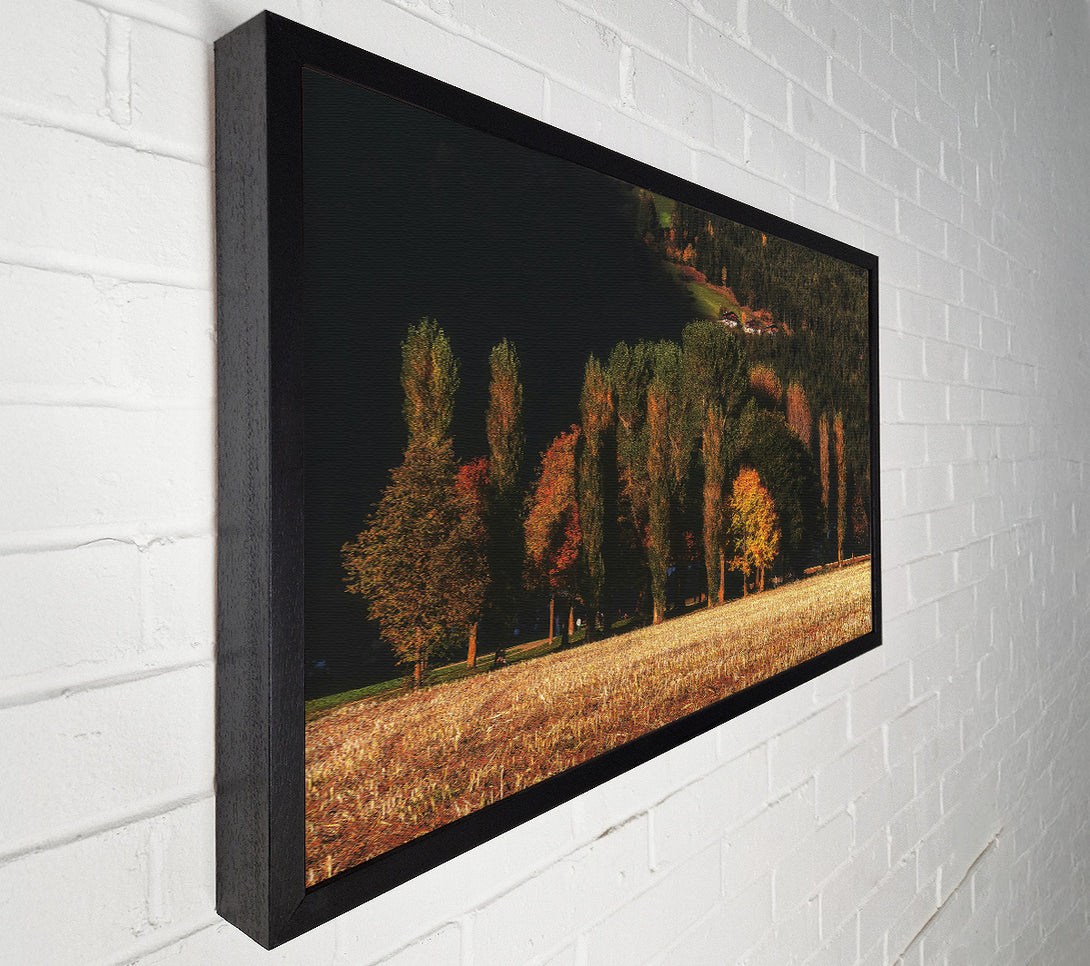  A Canvas Print of Golden Autumn Field Canvas Art