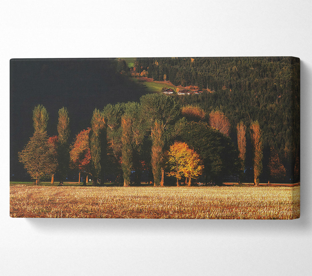  A Canvas Print of Golden Autumn Field Canvas Art
