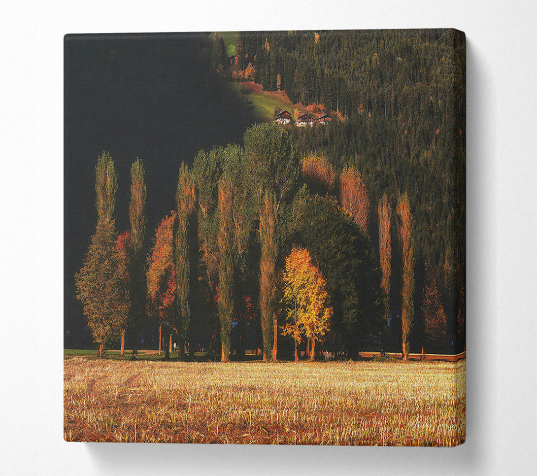  A Canvas Print of Golden Autumn Field Canvas Art