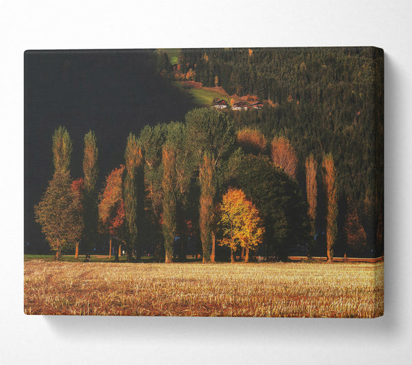  A Canvas Print of Golden Autumn Field Canvas Art