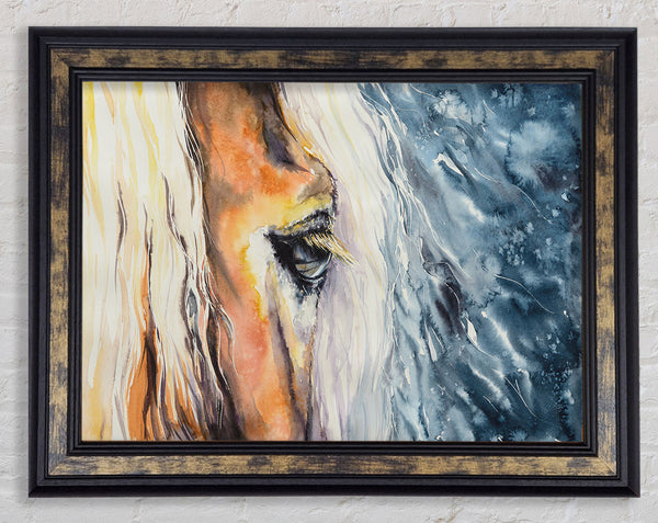 Eye Of The Horse Framed Print