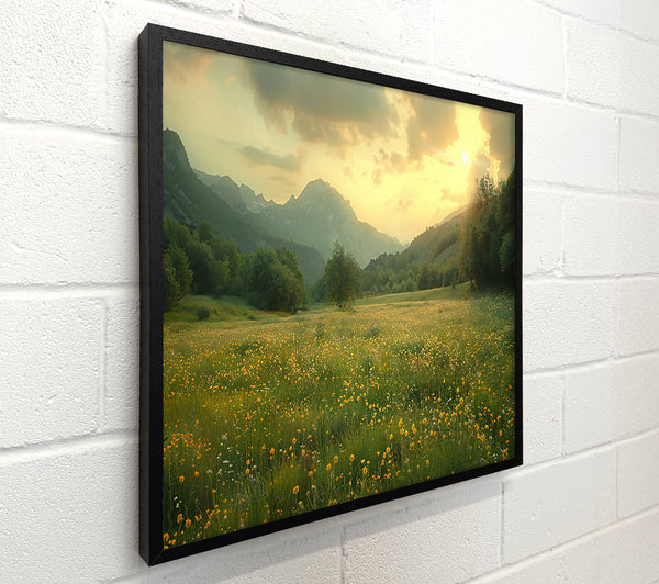 Golden Mountain Meadow