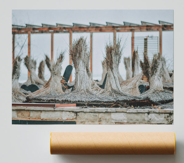 Beige Straw Umbrellas Print