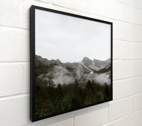 Silver Mountain Fog
