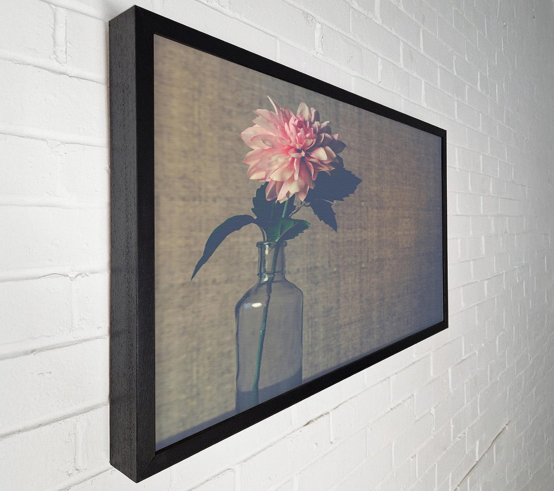  A Canvas Print of Pale Pink Bloom Canvas Art