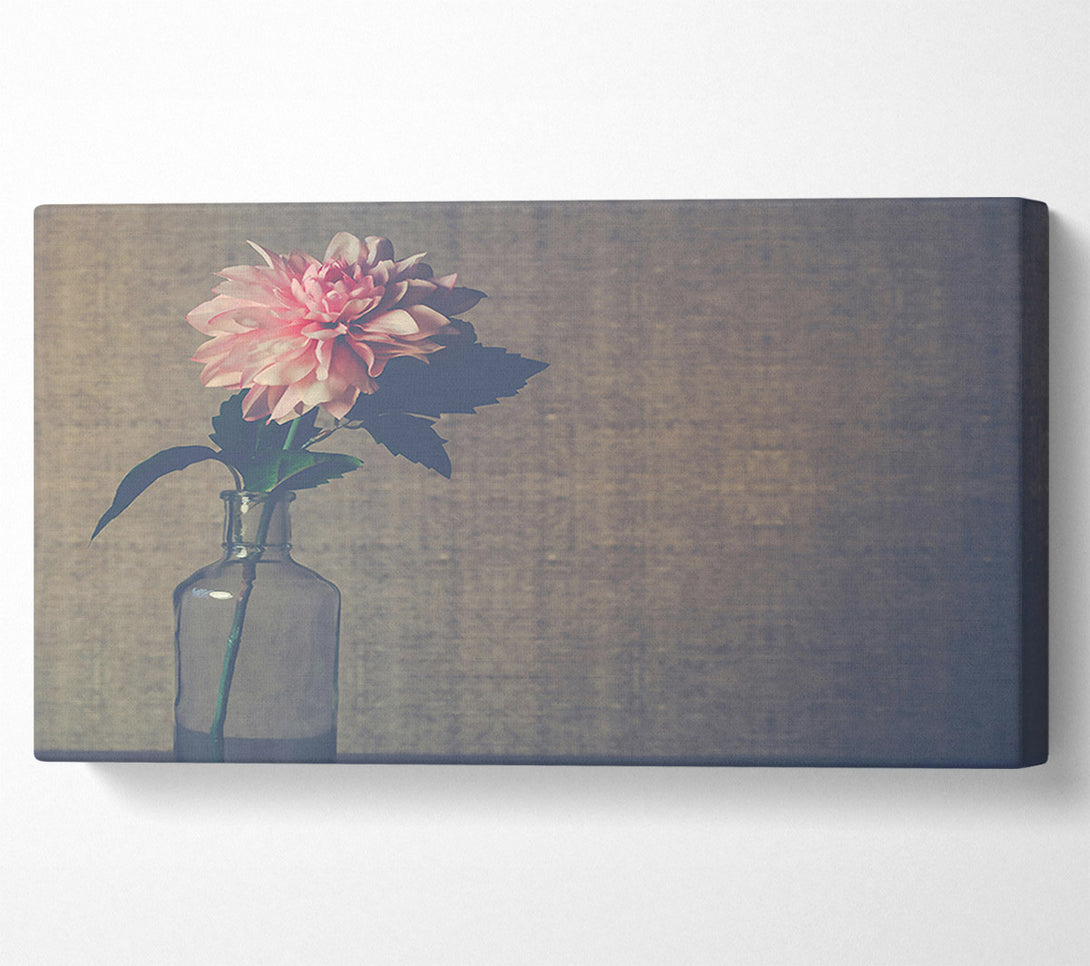  A Canvas Print of Pale Pink Bloom Canvas Art