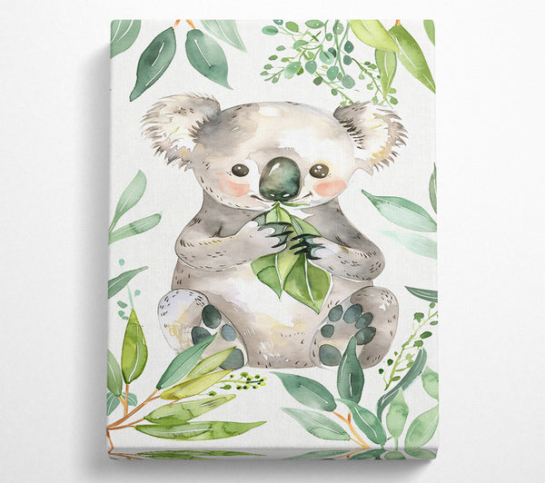 Green Eucalyptus Koala